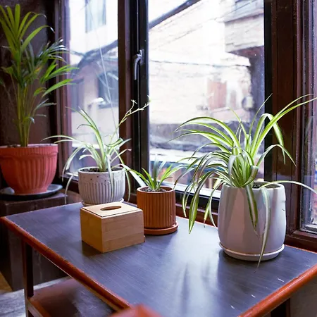 Mahaaja Homes And Restaurant
